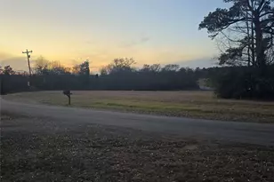 20086 County Rd 299, Arp, TX 75750 - Photo 2