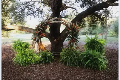 601 N Shipp Street, Madisonville, TX 77864 - Photo 16