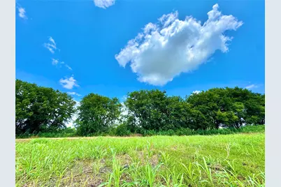 Lot 12 Cr-590, Nevada, TX 75173 - Photo 1