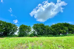 Lot 12 Cr-590, Nevada, TX 75173 - Photo 1