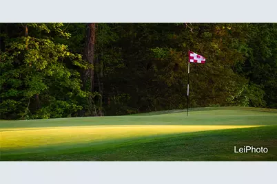 Tbd Pine Hills Lane, Gordonville, TX 76245 - Photo 6