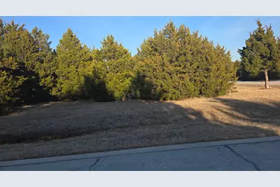 Tbd Pine Hills Lane, Gordonville, TX 76245 - Photo 4