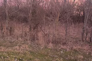 182 Shady Ln, Gordonville, TX 76245 - Photo 1