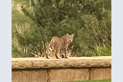 3456 Cr 124, Durango, CO 81326 - Photo 32