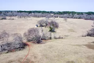 0 Hwy 155 & Cr 435, Frankston, TX 75763 - Photo 24