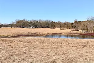 0 Hwy 155 & Cr 435, Frankston, TX 75763 - Photo 4