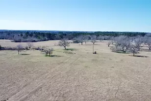 0 Hwy 155 & Cr 435, Frankston, TX 75763 - Photo 30