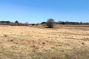 0 Hwy 155 & Cr 435, Frankston, TX 75763 - Photo 16