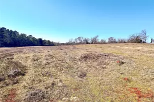 0 Hwy 155 & Cr 435, Frankston, TX 75763 - Photo 10