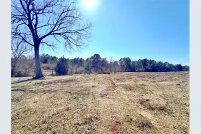 0 Hwy 155 & Cr 435, Frankston, TX 75763 - Photo 6