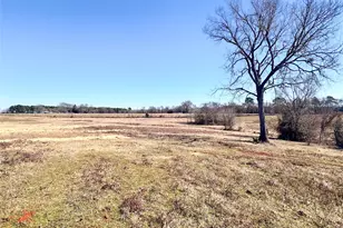 0 Hwy 155 & Cr 435, Frankston, TX 75763 - Photo 8