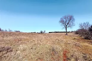 0 Hwy 155 & Cr 435, Frankston, TX 75763 - Photo 12