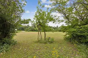 2729 Stickhorse Ln, McKinney, TX 75071 - Photo 8