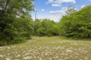 2729 Stickhorse Ln, McKinney, TX 75071 - Photo 6