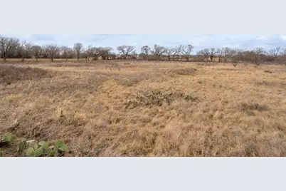 6130 W State Highway 6, Dublin, TX 76446 - Photo 8