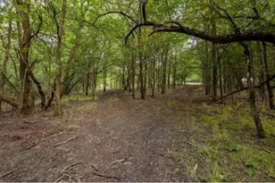 4251 Refuge Rd, Sherman, TX 75092 - Photo 36