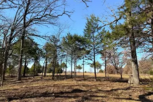 800 Burrows Chapel Rd, Gordonville, TX 76245 - Photo 1