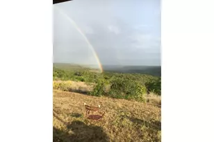 12516 Wire Rd, Leander, TX 78641 - Photo 36