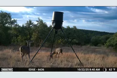 12516 Wire Road, Leander, TX 78641 - Photo 6