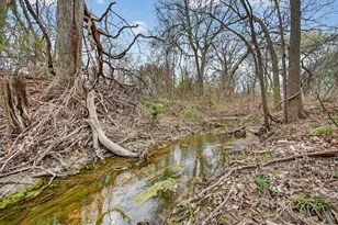 1810 Plum Creek Dr, Midlothian, TX 76065 - Photo 38