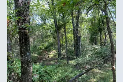 000 Cr 41514, Athens, TX 75751 - Photo 2