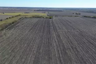 18402 Manda Carlson Rd, Coupland, TX 78615 - Photo 6