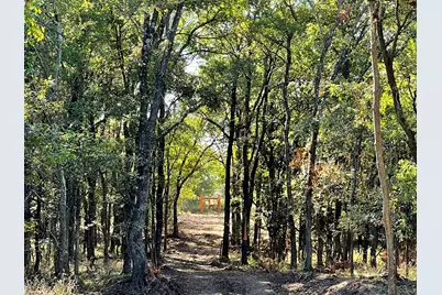 Lot 28 Vest Lane, Pilot Point, TX 76258 - Photo 4