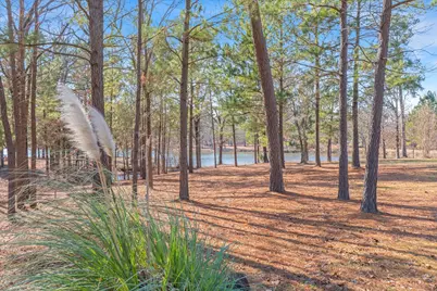 4776 Fm 17, Grand Saline, TX 75140 - Photo 32