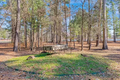 4776 Fm 17, Grand Saline, TX 75140 - Photo 38