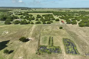 5500 Co Rd 234, Hico, TX 76457 - Photo 38