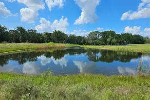 101 Private Rd 240, Whitney, TX 76692 - Photo 12