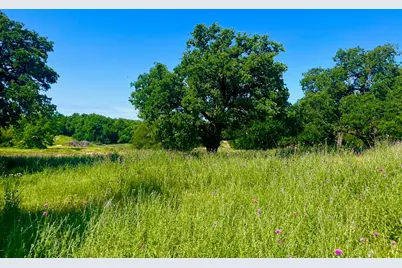 Lot 75 Kilkenny Road, Poolville, TX 76487 - Photo 1