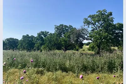 Lot 69 Kilkenny Road, Poolville, TX 76487 - Photo 6