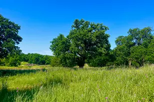 Lot 69 Kilkenny Rd, Poolville, TX 76487 - Photo 1