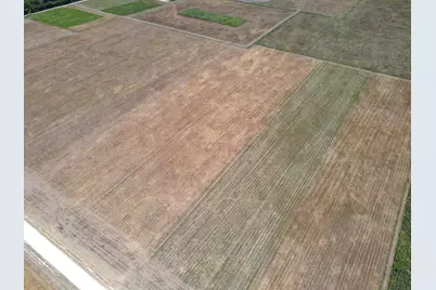 9141 County Road 101A, Grandview, TX 76050 - Photo 2