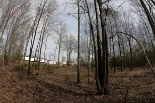 141 Tanglewood Dr, Gilmer, TX 75645 - Photo 26