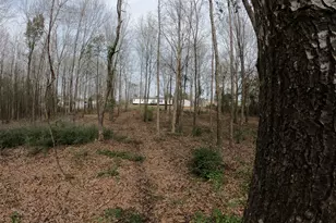 141 Tanglewood Dr, Gilmer, TX 75645 - Photo 28