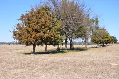 Tbd Cr 2428, Como, TX 75431 - Photo 8