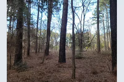 373 Cr-3907, Athens, TX 75752 - Photo 1