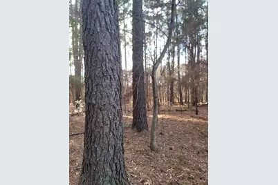 373 Cr-3907, Athens, TX 75752 - Photo 12