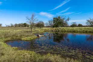404 E Newland Dr, Robinson, TX 76706 - Photo 8