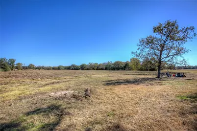 Tbd County Road 1468, Quitman, TX 75783 - Photo 4