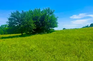 Lot 102 Arlow Rd, Poolville, TX 76487 - Photo 1