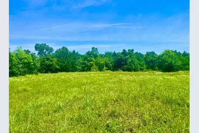 Lot 102 Arlow Road, Poolville, TX 76487 - Photo 2