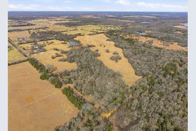 742 County Road 1144, Miller Grove, TX 75472 - Photo 4