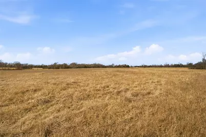 742 County Road 1144, Miller Grove, TX 75472 - Photo 28