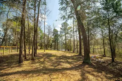 190 County Road 4826, Winnsboro, TX 75494 - Photo 2