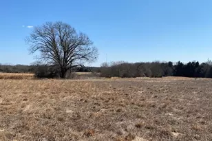 4101 Cr 3703, Athens, TX 75752 - Photo 2