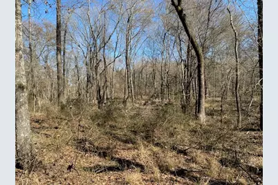 4101 Cr 3703, Athens, TX 75752 - Photo 32