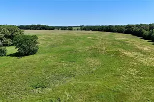 4101 Cr 3703, Athens, TX 75752 - Photo 6